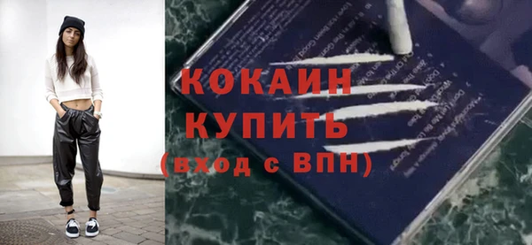 дурь Арсеньев