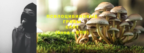дурь Арсеньев
