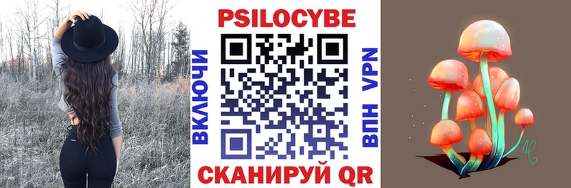 Галлюциногенные грибы прущие грибы  Приволжск 