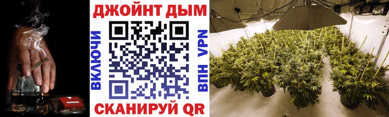 Шишки марихуана планчик  Приволжск 